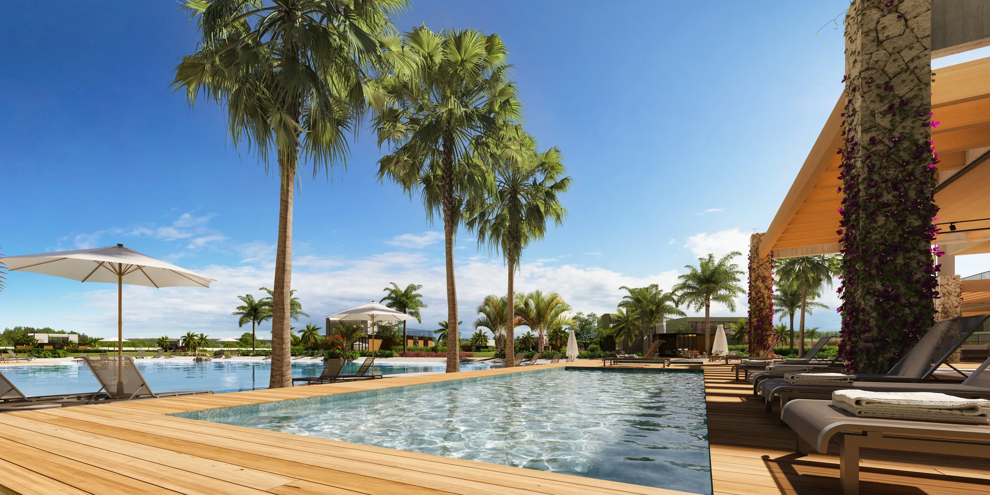 Piscinas externas com deck de madeira e palmeiras no club house do Oxy em Xangri-Lá